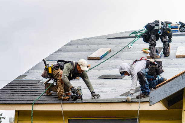 Professional Storm Damage Roof Repair technician working in Dayton, IA